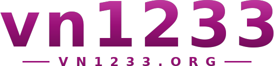 vn1233 logo
